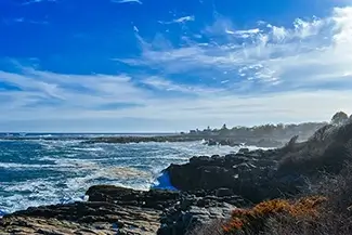 East Point Sanctuary Summer Days, Biddeford, Maine