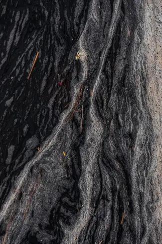 Emmons Preserve Abstract Water Stream Textures, Kennebunkport, Maine