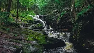 Enders State Forest Cascading Waters, Granby, Connecticut