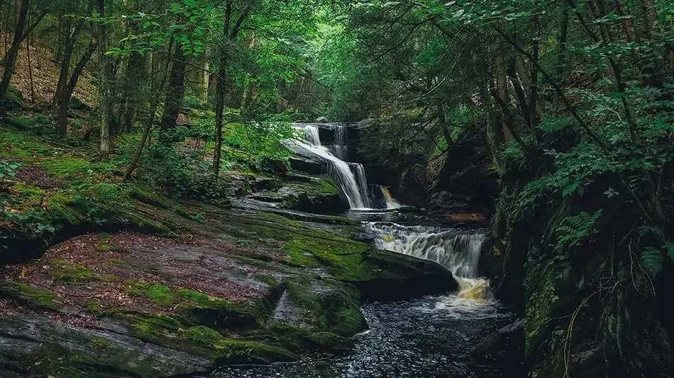 Enders State Forest Waterfall Serene View