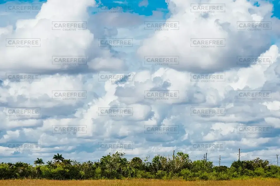 Everglades National Park Expansive Cloudscape and Lush Grassland, Florida · United States