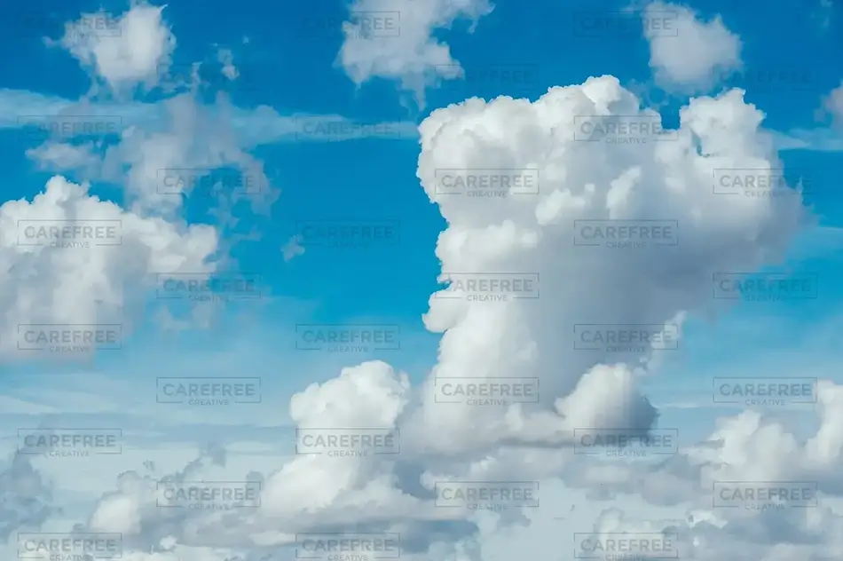 Everglades National Park Cumulus Clouds Towering Overhead, Florida · United States