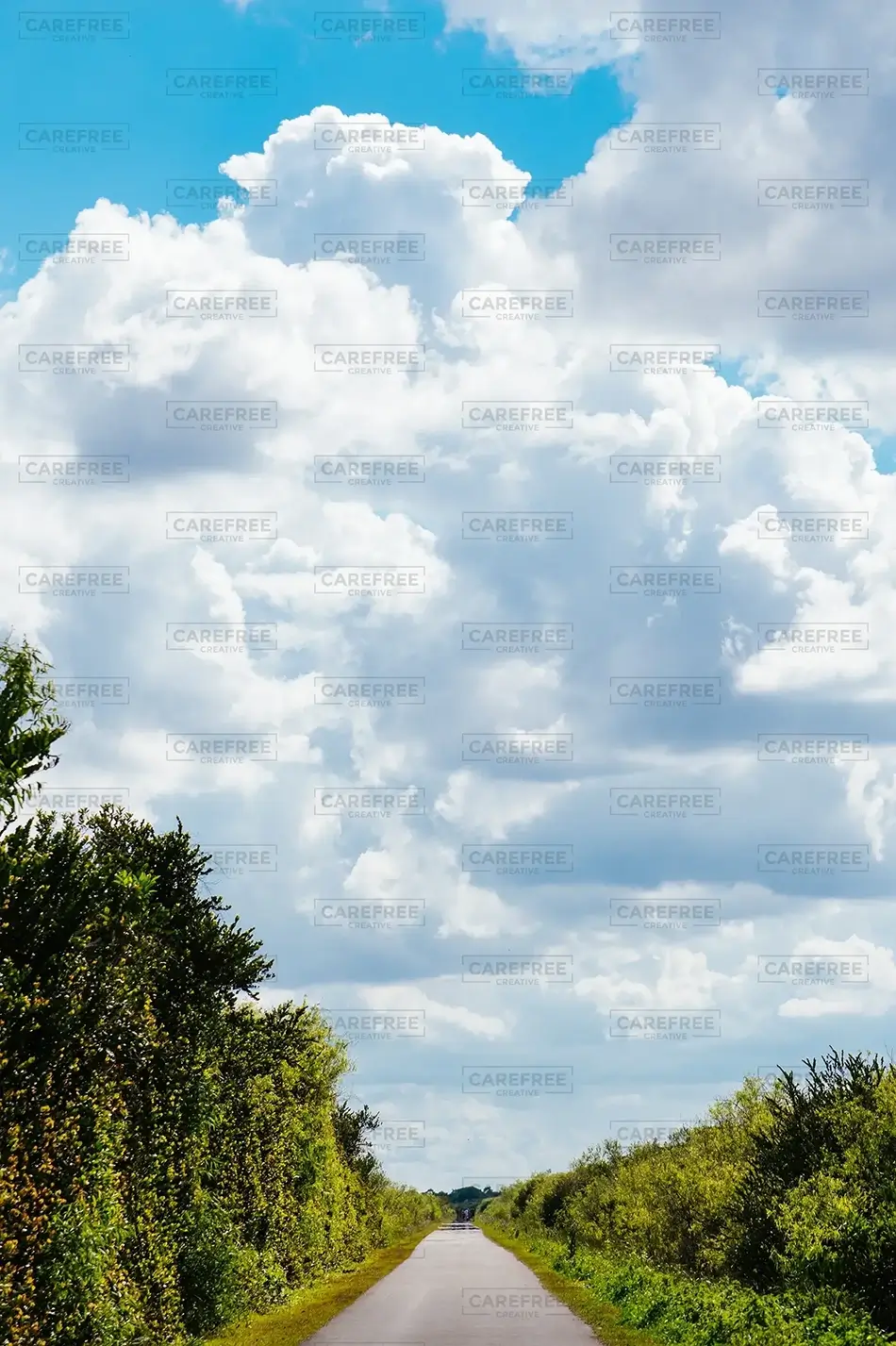 Everglades National Park Road to the Clouds, Florida · United States
