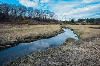 Fore River Sanctuary Gentle River Curve Through the Marsh, Portland, Maine