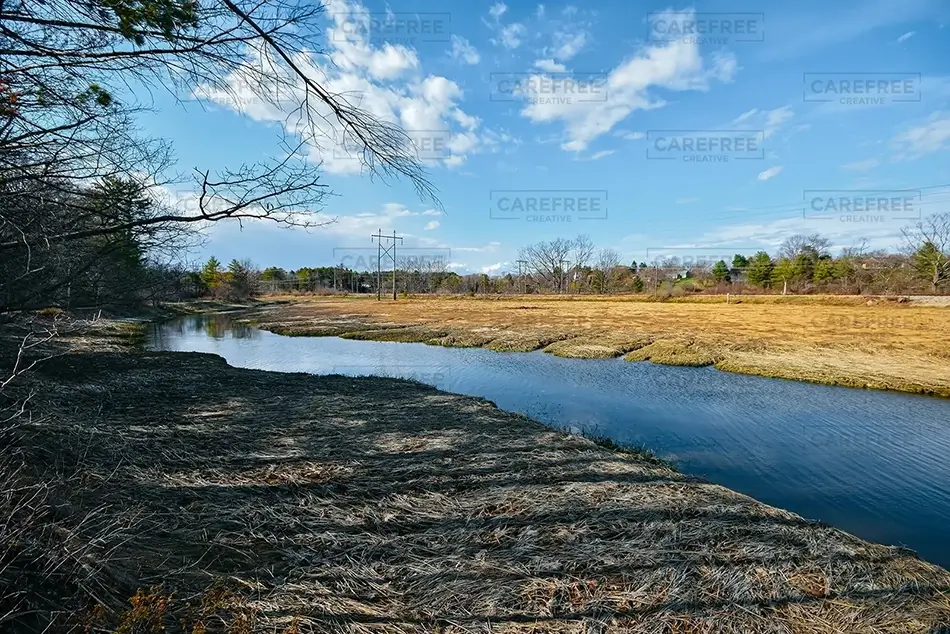 Fore River Sanctuary Trail Along the Stream, Portland, Maine · United States