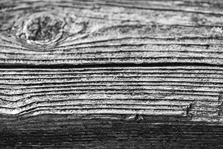 Fore River Sanctuary Aged Wood Grain Texture, Portland, Maine