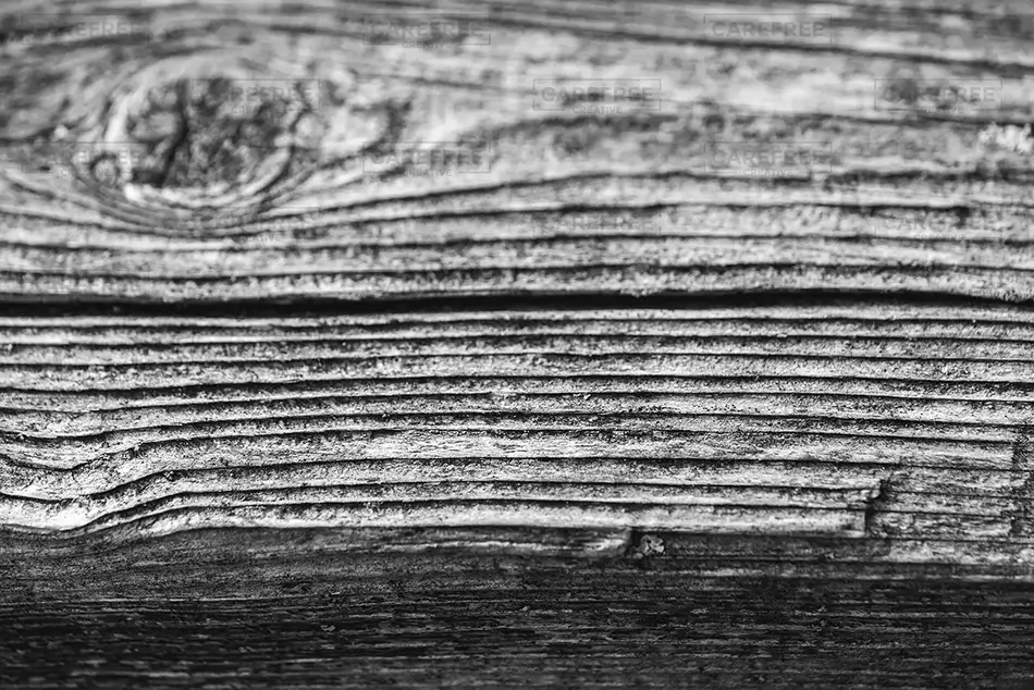 Fore River Sanctuary Aged Wood Grain Texture, Portland, Maine · United States