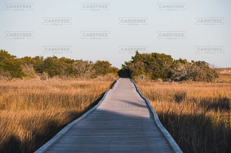 Fort Fisher State Recreation Area Boardwalk Through Marsh Grass, Kure Beach, North Carolina · United States