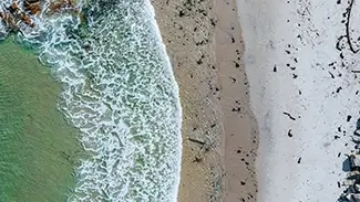 Waves