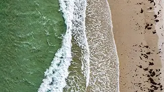 Waves