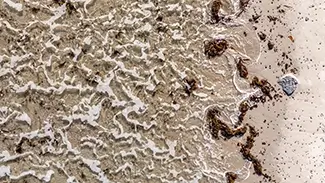 Beaches
