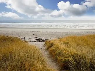 Fortunes Rock Beach Tranquil Sand and Grass Path, Biddeford, Maine