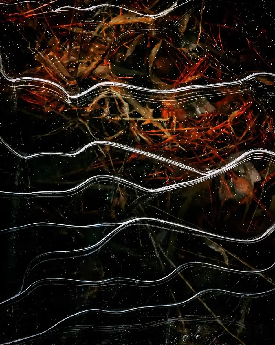 Fuller Farm Icy Abstraction, Scarborough, Maine · United States
