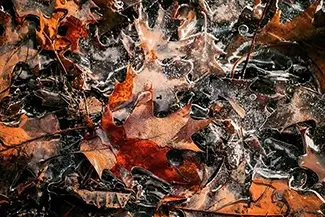 Fuller Farm Frozen Leaves Tapestry, Scarborough, Maine