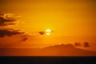 Yellow photography