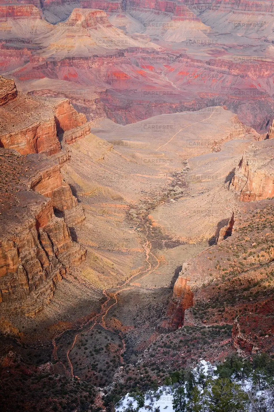 Grand Canyon National Park Winding Trail Through Canyon, North Rim, Arizona · United States