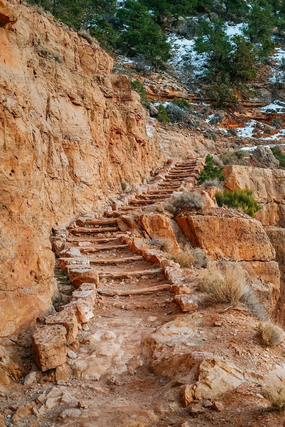 Grand Canyon National Park Rugged Stone Trail Steps, North Rim, Arizona · United States