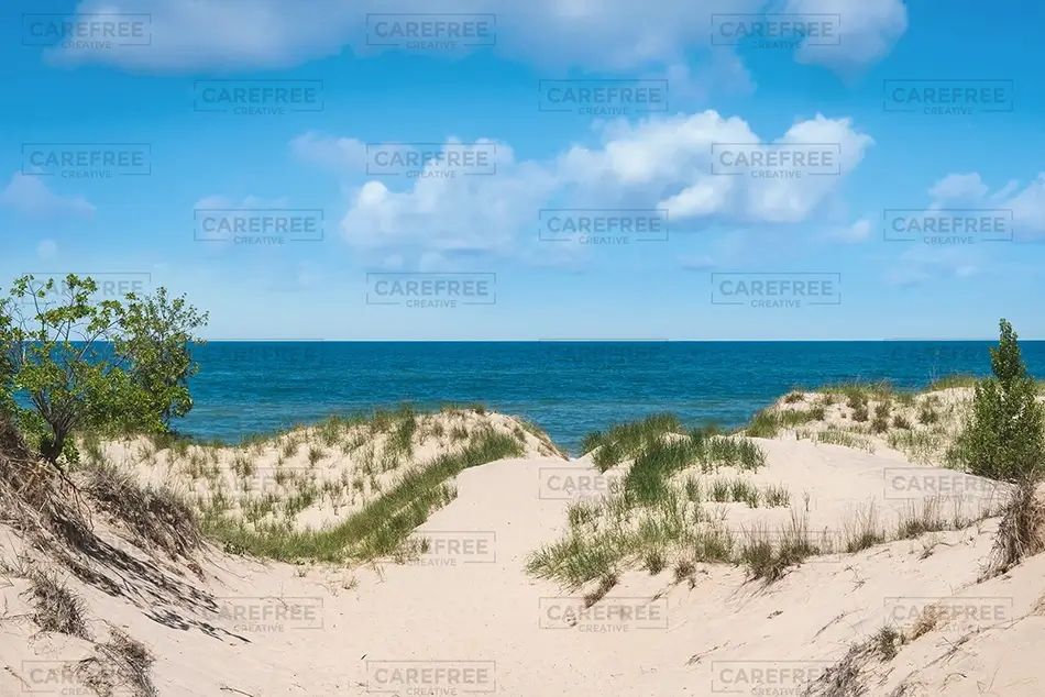 Grand Mere State Park Sandy Dune Beach Path, Stevensville, Michigan · United States