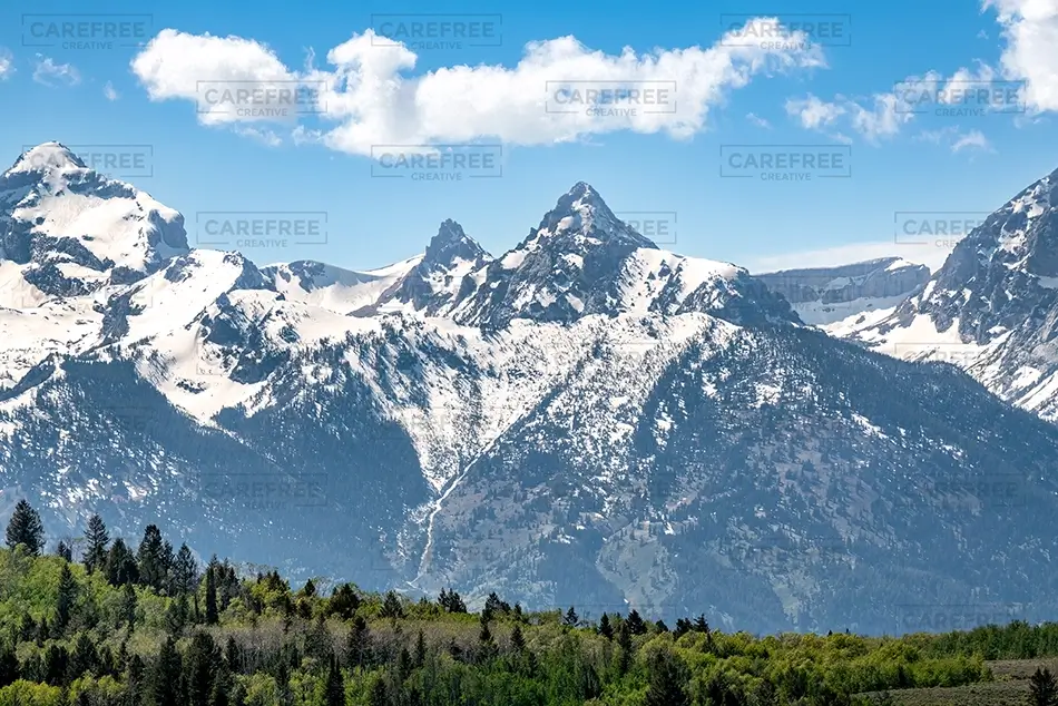 Grand Teton National Park Snow-Capped Peaks and Trees, Jackson, Wyoming · United States