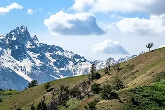 Grand Teton National Park Snowy Peaks and Green Hills, Jackson, Wyoming