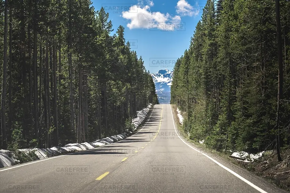 Grand Tetons National Park Scenic Road, Jackson, Wyoming · United States