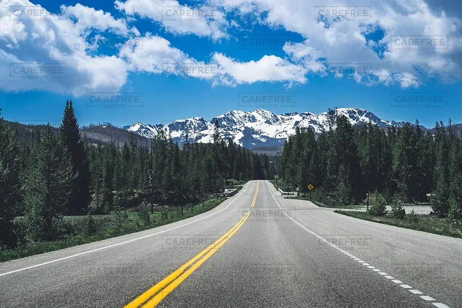 Grand Tetons National Park Evergreen Roadway, Jackson, Wyoming · United States