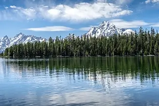 Grand Tetons National Park Mountain Forest, Jackson, Wyoming