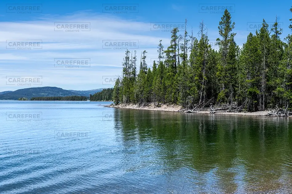 Grand Teton National Park Scenic Lakeside View, Jackson, Wyoming · United States