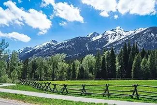 Grand Teton National Park Snowcapped Mountains and Trees, Jackson, Wyoming