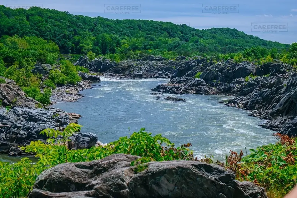 Great Falls Park Treeline Horizon