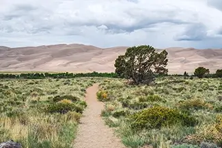 Great Sand Dunes National Park Scenic Pathway and Dunes, Alamosa, Colorado