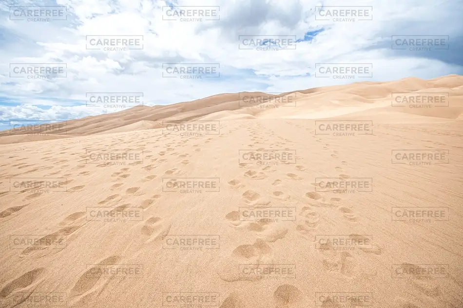 Great Sand Dunes National Park Desert Spotted With Footprints, Alamosa, Colorado · United States