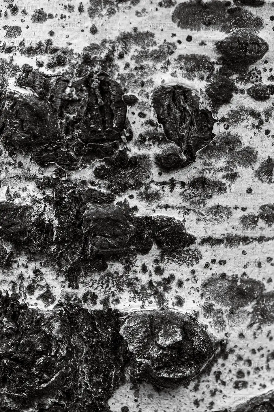 Great Sand Dunes National Park Textured Black and White Surface, Alamosa, Colorado · United States