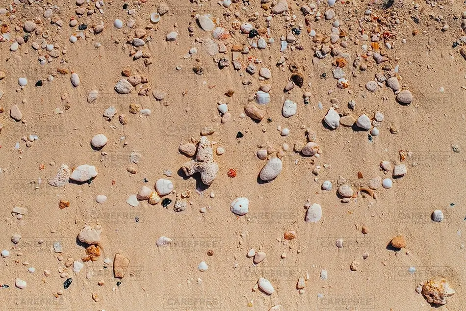Great Stirrup Cay Sands Speckled with Nature’s Mosaic, Berry Islands, The Bahamas · Caribbean