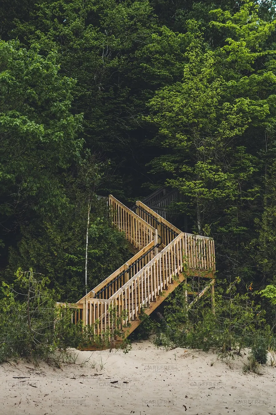 Green Point Dunes Nature Preserve Wooden Staircase Through Forest, Frankfort, Michigan · United States