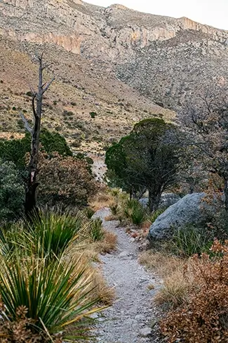 Guadalupe Mountains National Park Rocky Desert Hiking Trail, Dell City, Texas