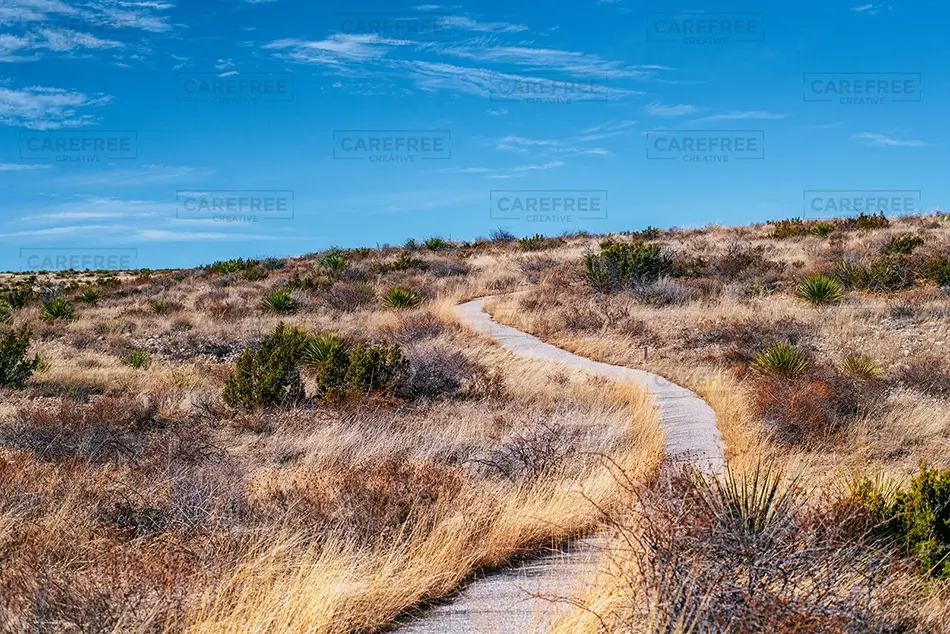 Guadalupe Mountains National Park Winding Desert Trail, Dell City, Texas · United States