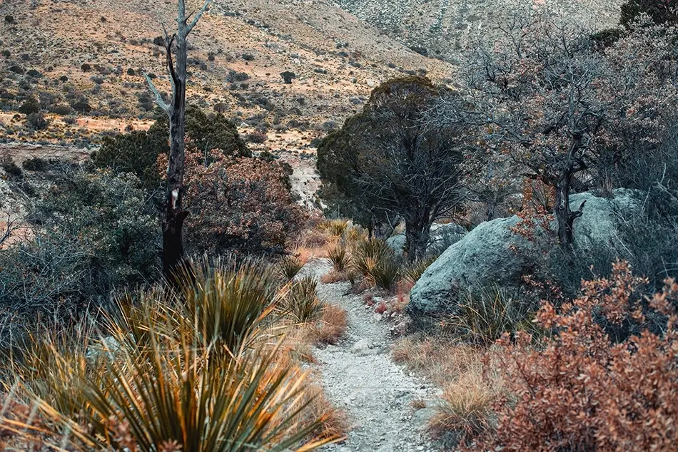 Guadalupe Mountains National Park Rocky Desert Hiking Trail, Dell City, Texas · United States