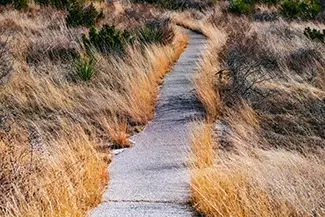 Guadalupe Mountains National Park Winding Trail Through Grasslands, Dell City, Texas