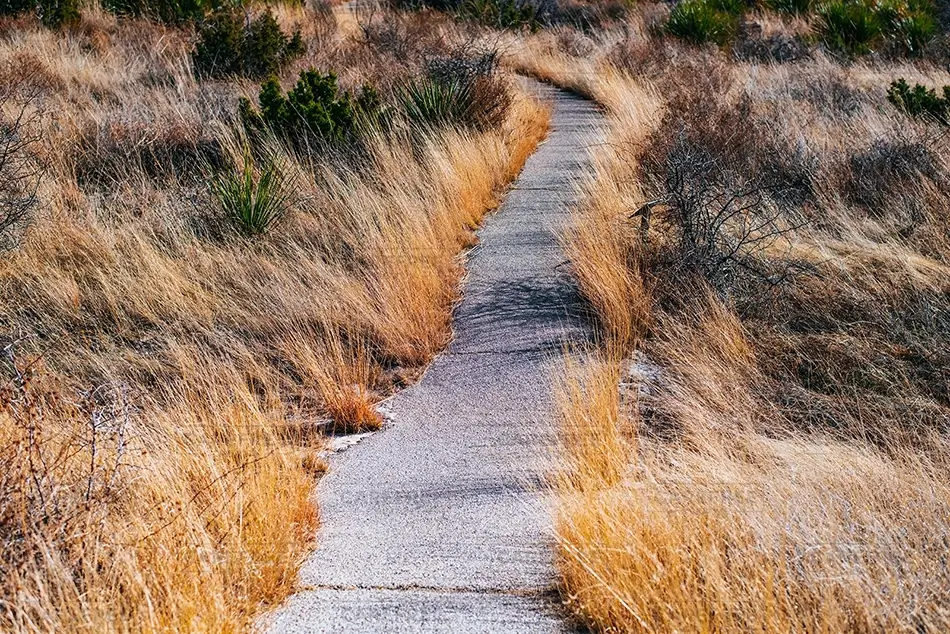 Guadalupe Mountains National Park Winding Trail Through Grasslands, Dell City, Texas · United States