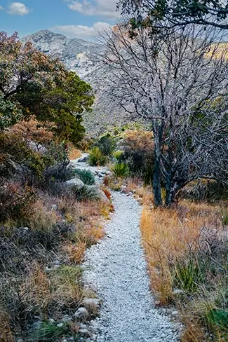 Guadalupe Mountains National Park Rocky Desert Trail, Dell City, Texas