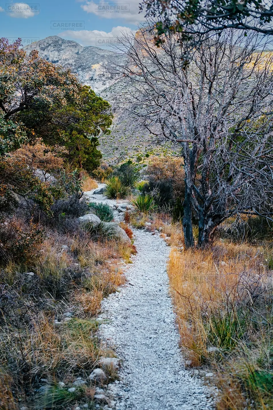 Guadalupe Mountains National Park Rocky Desert Trail, Dell City, Texas · United States