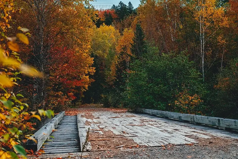 Gulf Hagas Sturdy Bridge Amidst Fall, Monson, Maine · United States