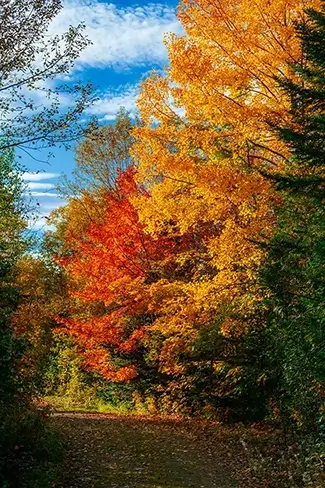 Gulf Hagas Autumn In All Its Colors
