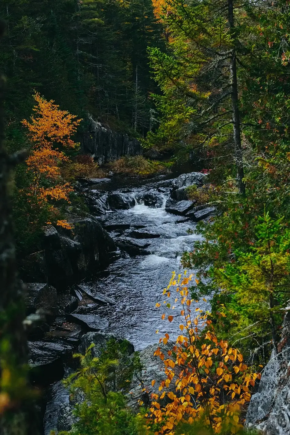 Gulf Hagas Verdant Riverside, Monson, Maine · United States