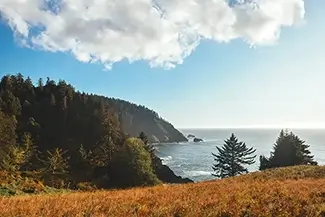 Hart’s Cove Fall Foliage Seaside, Harts Cove, Oregon
