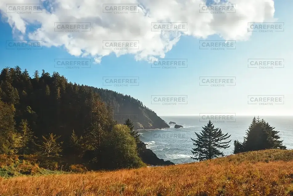 Hart’s Cove Fall Foliage Seaside, Harts Cove, Oregon · United States