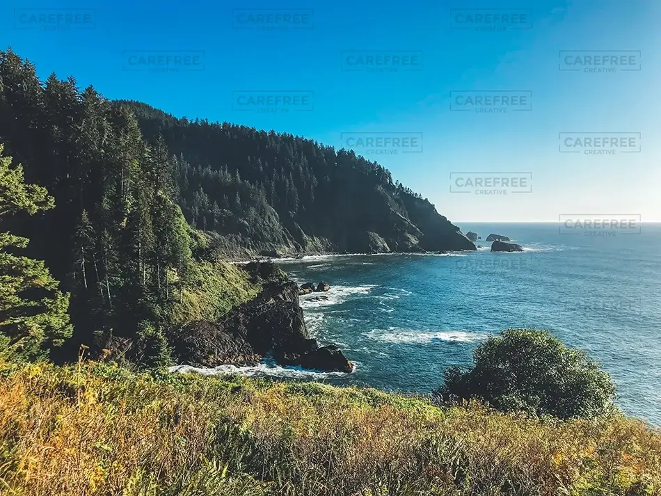Hart’s Cove Serene Ocean View, Harts Cove, Oregon · United States