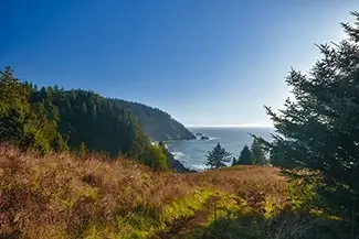 Hart’s Cove Cliffside Wilderness, Harts Cove, Oregon