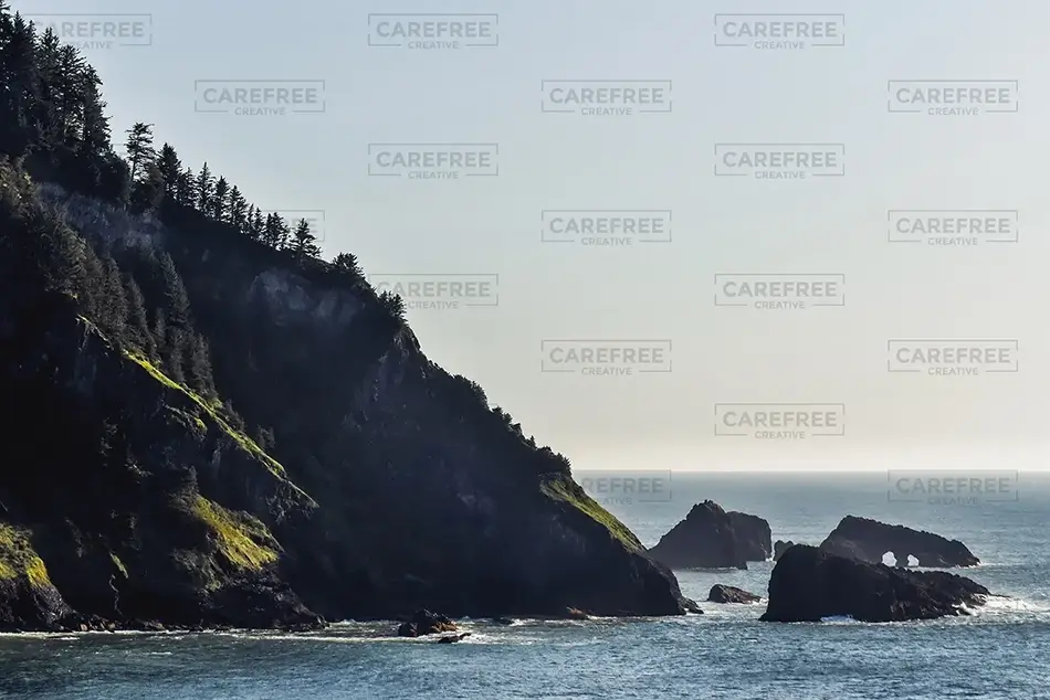 Hart’s Cove Shaded Pine Cliffs, Harts Cove, Oregon · United States